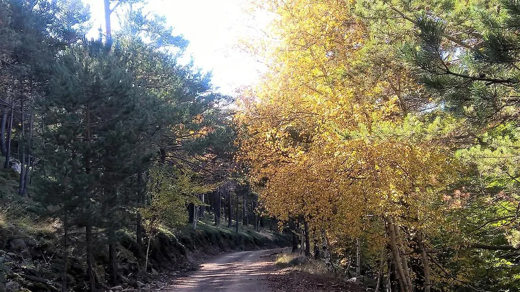 ** Pensión Hostal Alt Pirineu Soriguera España